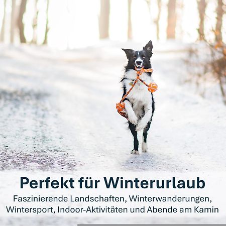 Ferienwohnung Ursel Heringsdorf  Buitenkant foto